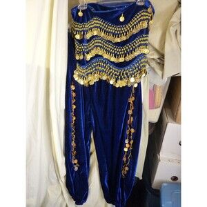 Women's Blue Velvet Fabric Belly Dancing Pants and Mini Skirt-with Gold Coins
